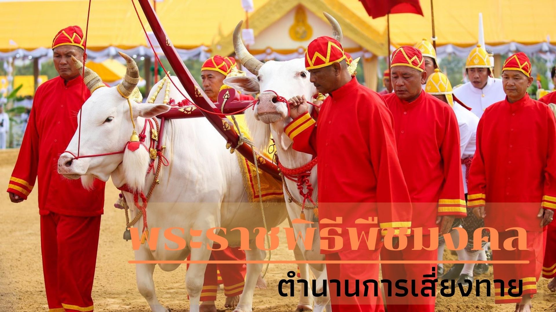 พระราชพิธีพืชมงคล ตำนานการเสี่ยงทาย เพื่อขวัญและกำลังใจของเกษตรกรไทย “เหล้าไม่ใช่คำตอบ”