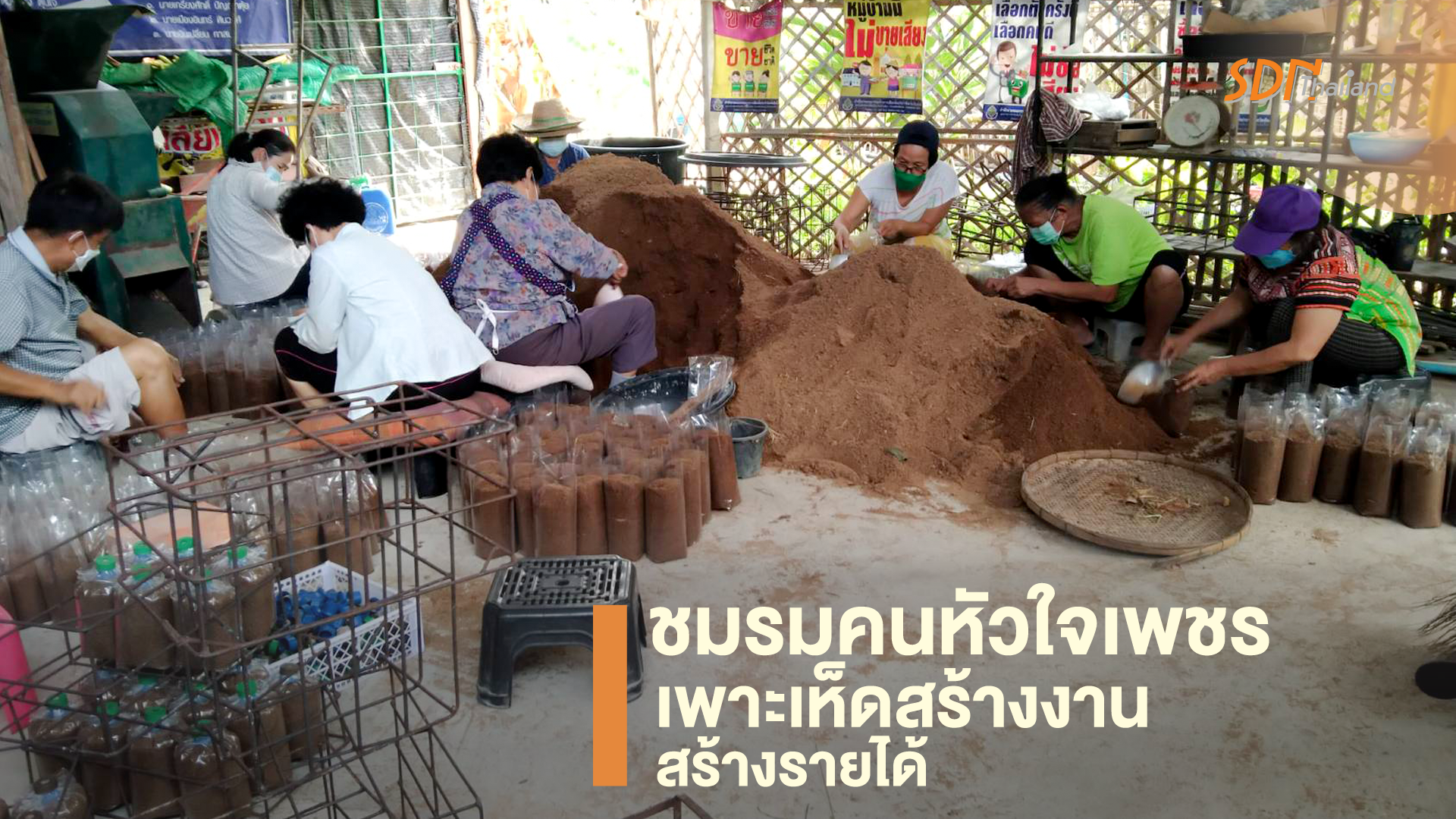 ชมรมคนหัวใจเพชร บ้านเกาะกลาง ต.ป่าแดด อ.เมือง จ.เชียงใหม่ เพาะเห็ดสร้างงาน สร้างรายได้อันจะนำไปสู่คุณภาพชีวิต