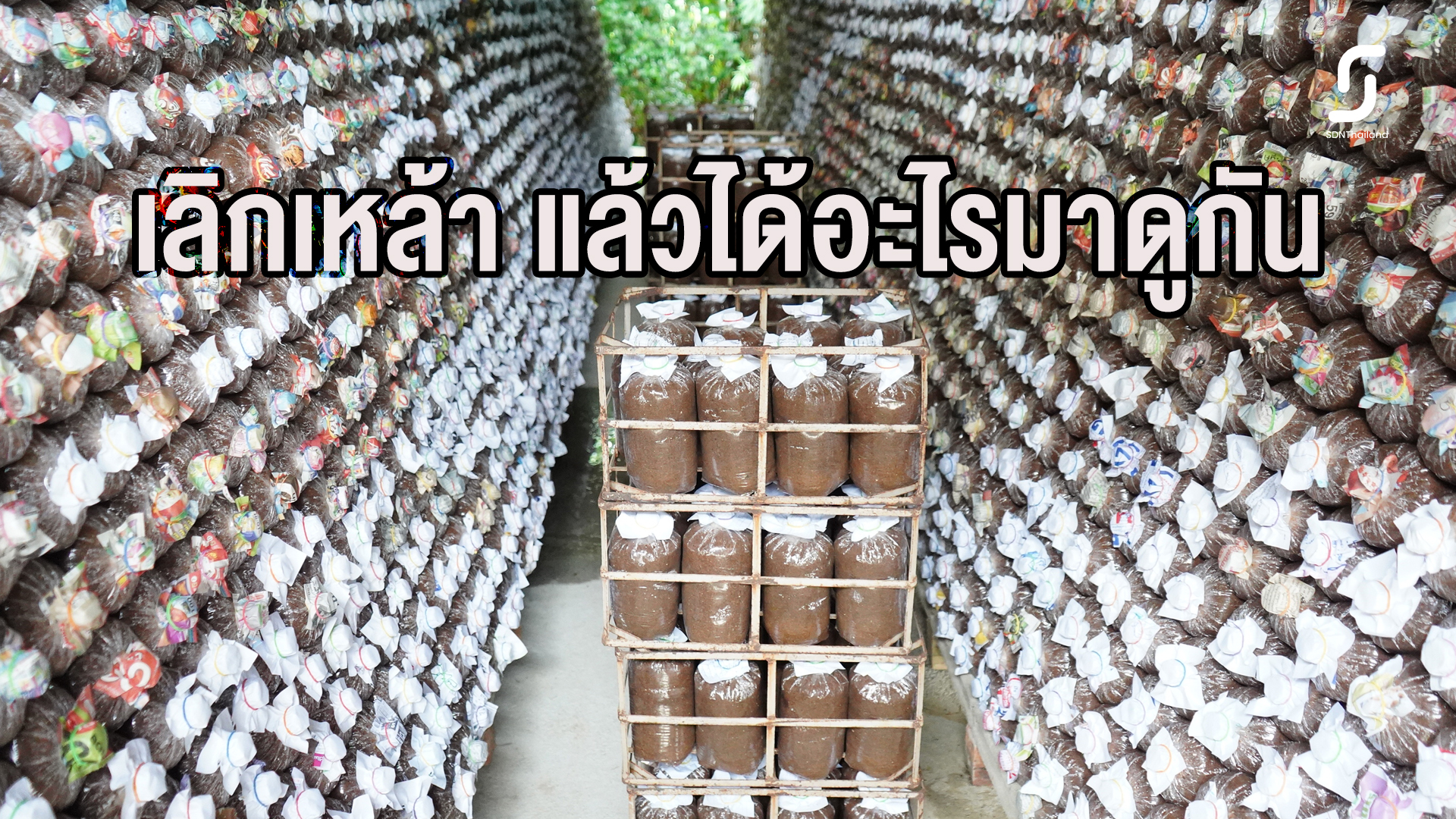 เลิกเหล้า แล้วได้อะไร??คลิปนี้มีคำตอบ
